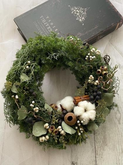 生花】ブルーアイス(シルバー系・針葉)40cm程度【OT】 - 花材通販は