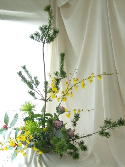 生花/即納】◇五葉松 大 - 花材通販はなどんやアソシエ