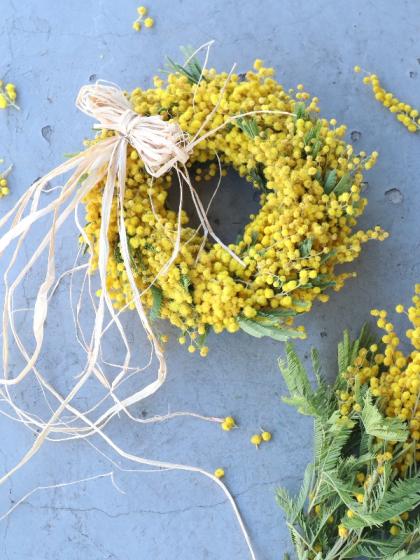 直前!/】輸入ミモザ ミランドール等(小枝含む束 2〜5本程度)早締切【FJ