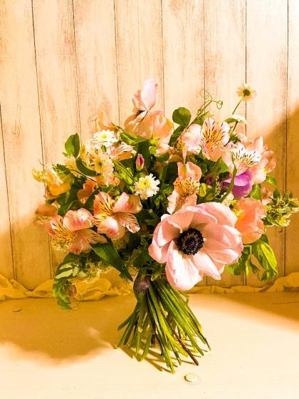 アネモネ 生花】アネモネ ホワイトブラックセンター(黒芯)【OT】※入荷少