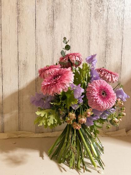 生花】【さぎやま】大輪ガーベラ メイボール(ピンク)【FJ】 - 花材通販