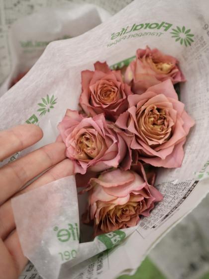 直前】【生花】バラ テナチュール(ブラウン〜ピンク)40cmー【OT】 - 花