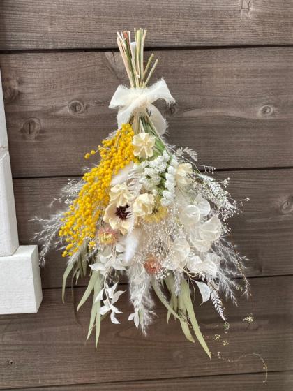 生花】【2/21-22着限定】 輸入ミモザアカシア ミランドールなど束(約2