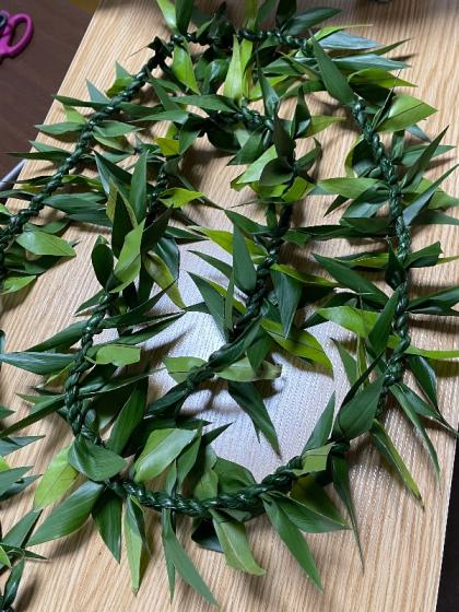 生花/予約】<50cm>ティーリーフ(全長 約50cm・葉の部分約40cm