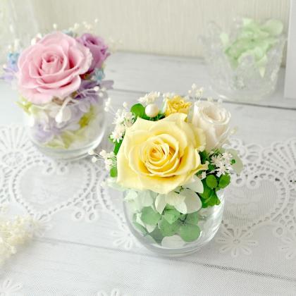 即日☆大地農園/パールピック・小 7mm 24本 N/62771-000 - 花材通販は