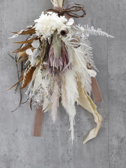 ドライ】コアトレーディング/プロテア・カーニバル 1本 ナチュラル