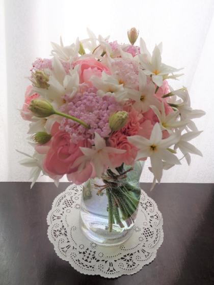 生花】ブルーレース(ピンク)40～50cm【OT】※開花1輪・入荷少