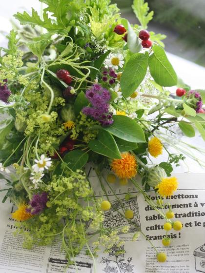 生花】ローズゼラニウム(グリーン)30-40cm程度【OT】 - 花材通販はなど