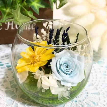 リ・ソビーム 花鼻 花粉対策 re・蘇 162粒 まとめ売り 楽天市場】花王 ソフィーナiP SOFINA iP ベースケアセラム土台