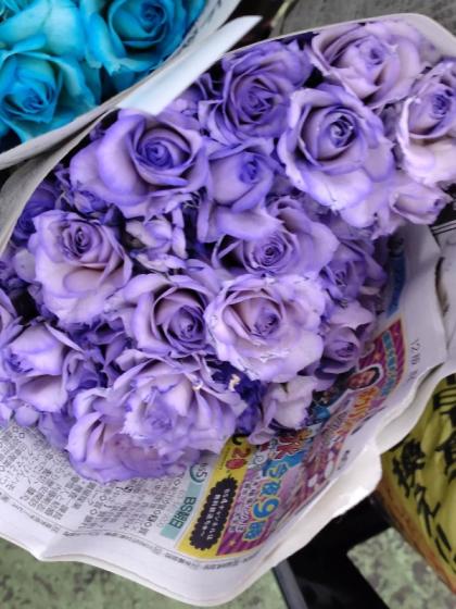 生花】SPバラ 染めロイヤルブルー(濃い青) 【早締切-75】※染色加工商品 