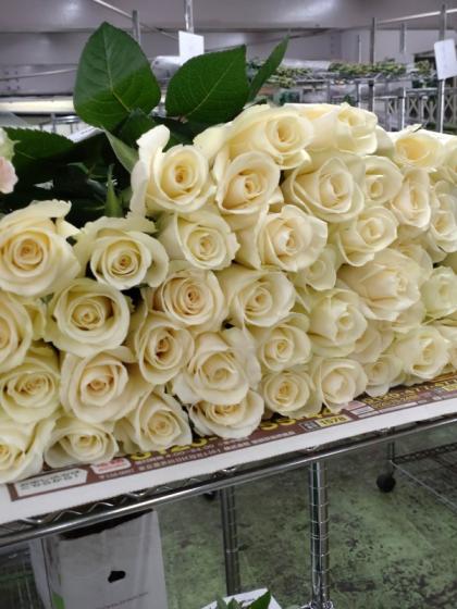 08直前!IT】バラ ジューク【生花】 - 花材通販はなどんやアソシエ