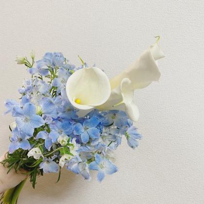 直前!】デルフィニューム プラチナブルーSP(A50cm)豊橋 【生花】 - 花