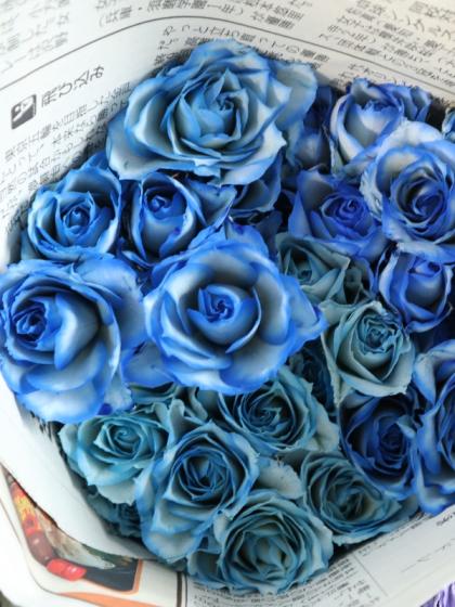生花】SPバラ 染めロイヤルブルー(濃い青) 【早締切-75】※染色加工商品