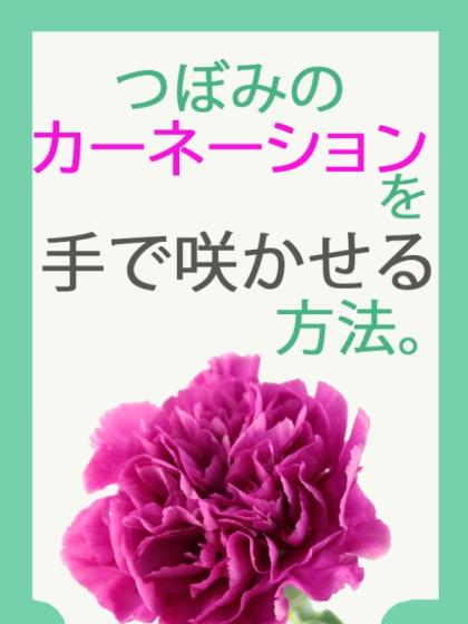 B2大 ポスター CARNATION CRIME　カーネーションクライム B2大 ポスター CARNATION CRIME カーネーションクライム
