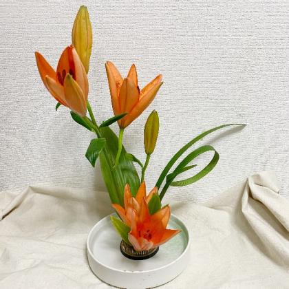 直前!】スカシユリ[オレンジ]【OR-5】 - 花材通販はなどんやアソシエ