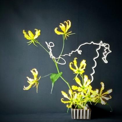 生花】グロリオサ〔黄色〕秀2L【OT】※入荷少 - 花材通販はなどん