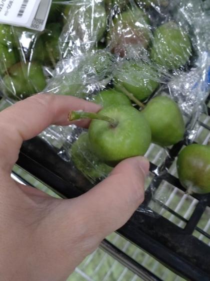 直前!!!】青リンゴ L-2Lサイズ 長野県など - 花材通販はなどんやアソシエ