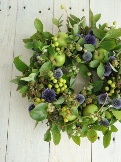 直前!!】青リンゴ L-2Lサイズ 長野県など【OT】 - 花材通販は