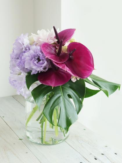 Stark26さま専用　おまとめ　プリティピンク特大　モンステラミドルカット Stark26さま専用 おまとめ プリティピンク特大 モンステラミドルカット