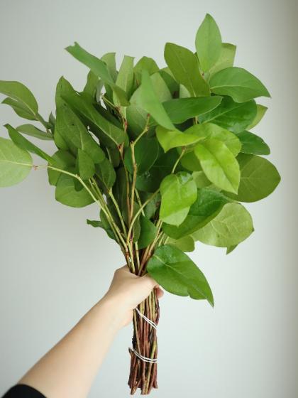 ＊*..レモン色のお花をいっぱい盛り込んで..＊°..ナチュラル　お花の贈り物 プリザーブドフラワーリース レモンイエローのバラとオレンジ色