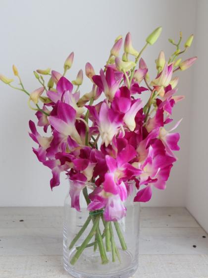 濃いピンクの造花　80本 直前!/】デンファレ ソニア(濃いピンク) - 花材通販はなどんやアソシエ