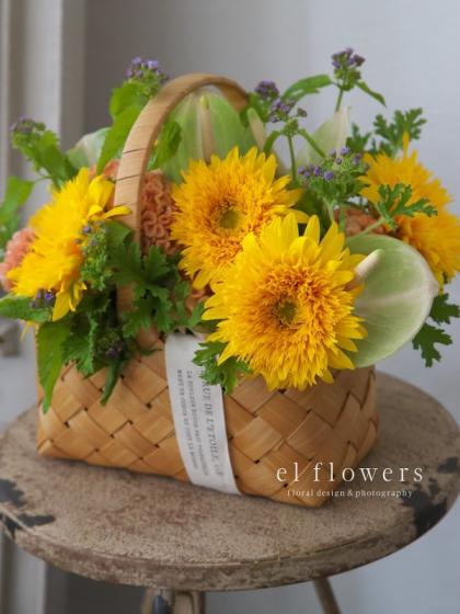 生花】ヒマワリ 東北八重 φ10cm前後【OT】 - 花材通販はなどんやアソシエ