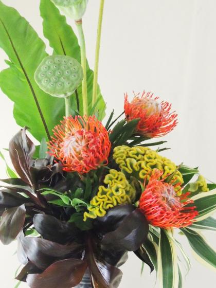 生花】ピンクッション タンゴ(濃オレンジ)40cm 【OR-83】※月曜入荷少