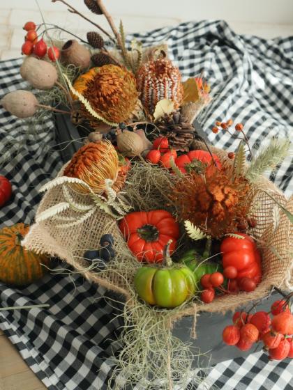 生花】バンクシア ココシニア 40cm【OTOT】※商品説明をご確認ください