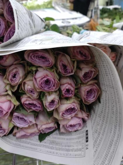 直前!】バラ ライラッククラシック(紫 カップ咲き)【生花】 - 花材通販