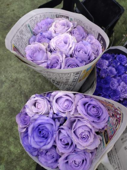 生花】バラ 染めラベンダー(紫)【早締切-75】※染色加工商品です。 - 花