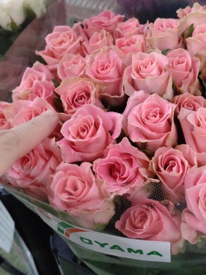 生花】バラ アーリエス+(ピンク系)金田バラ園【OT】 - 花材通販はなど