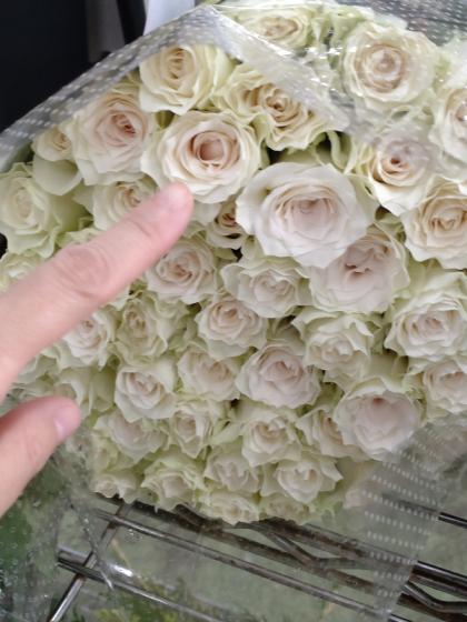 直前】バラ グランオマージュ(オフホワイト系)50センチ〜【生花】 - 花