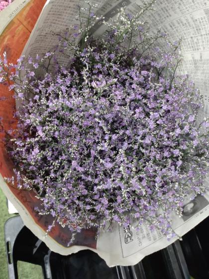 かすみ草　ドライフラワー　ハンドメイド　紫　白　マーブル　素材　ハーバリウム　花 かすみ草ドライフラワーハンドメイド紫白マーブル素材ハーバリウム花