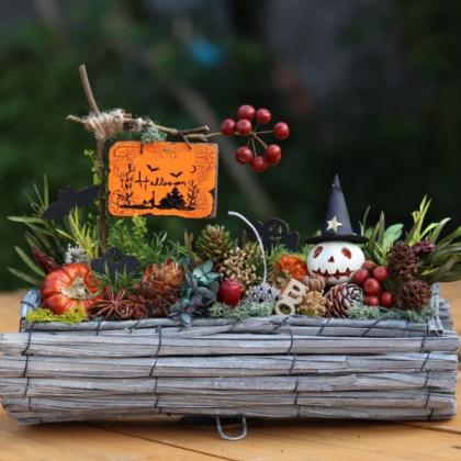 大特価◎即日☆【ドライ】コアトレーディング/スターアニス 約50g 無