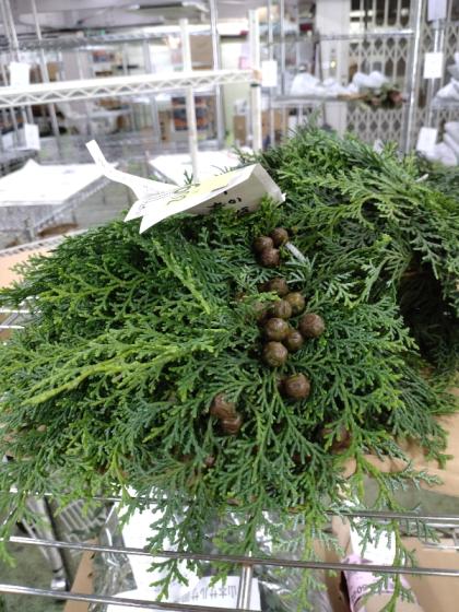 希少　古代檜　花瓶　ひのき　ヒノキ　桧　檜　花器　木　古木 希少 古代檜 花瓶 ひのき ヒノキ 桧 檜 花器 木 古木