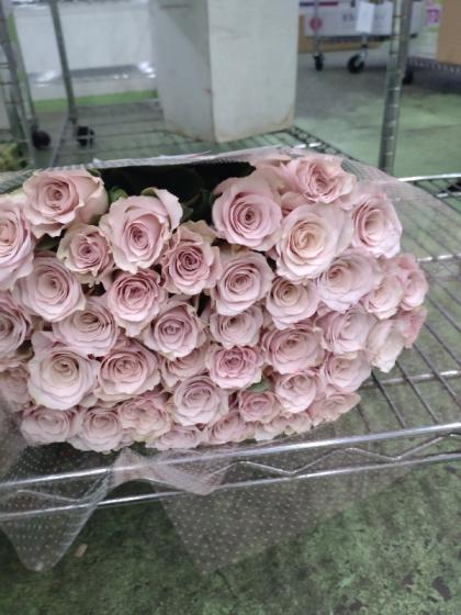 直前!】バラ クリスタルドレス+【生花】 - 花材通販はなどんやアソシエ