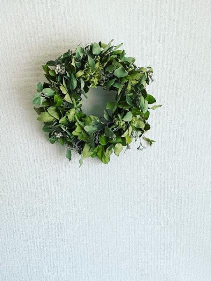 生花】アジサイ グリーンアナベル 2Lサイズ(花径20cm程度) 北空知など