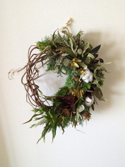 直前】リューカデンドロ プルモサス(実もの系・茶) - 花材通販はなどん