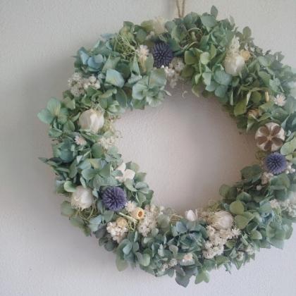 直前】2輪 ルリタマアザミ ベッチーズブルー【生花】 - 花材通販はなど