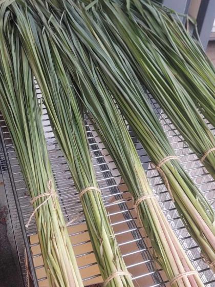 生花】レモングラス 100cm〜 1束 ※半ドライ〜ドライ - 花材通販