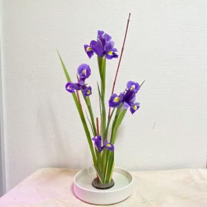 生花】サンゴミズキ(100cm程度)【OT】茨城県ほか※時期により発色異なる