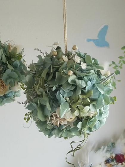 08直前!!】HBチース ブルーウェーブ(紫)50cm程度 ※枝先をカットした