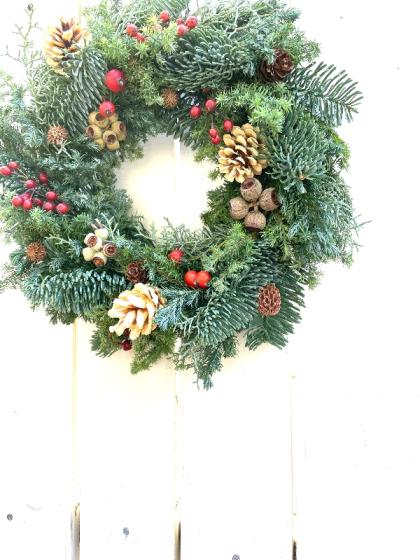 ブルーバード　クリスマスリース　リース 直前】長作園のコニファー ブルーバード(青緑色)50-60cm程度 - 花材