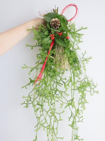 直前!!!】【生花】ヒカゲカズラ ロング(80cm～)静岡、和歌山など