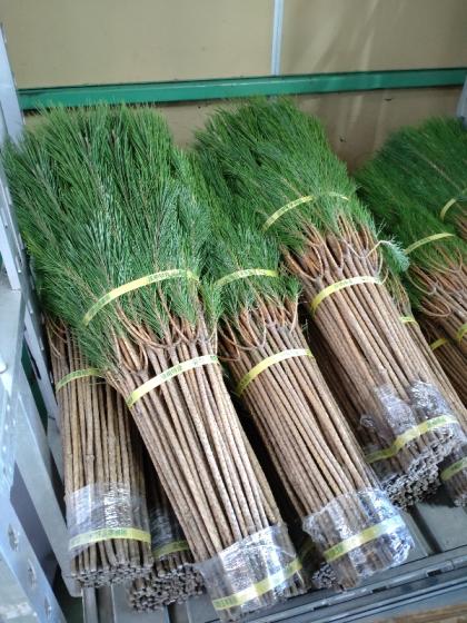 生花】早届け>☆若松 3等 ※届日限定:12/8 - 花材通販はなどんやアソシエ