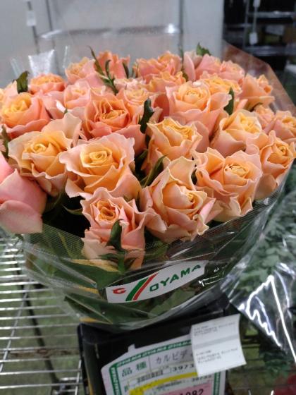 直前】【生花】バラ カルピデューム(オレンジ)【OT】 - 花材通販はなど