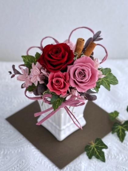 即日☆ 【ドライ】【小分け】大地農園/シナモンスティック 約10本 N