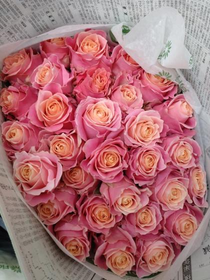 生花】バラ アーリエス+(ピンク系)金田バラ園【OT】 - 花材通販はなど