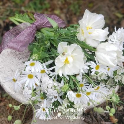 直前】NODAフラワーのスカビオサ オフホワイト(40cm〜) 【生花】 - 花