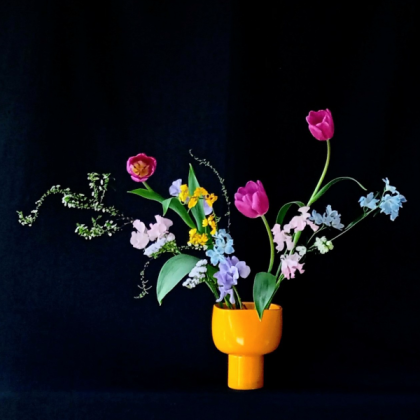 直前】スターチス シースルーホワイト(極淡い紫)60cm程度【生花】 - 花
